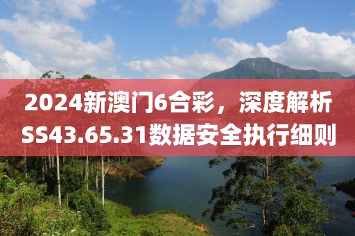 2024新澳门6合彩，深度解析SS43.65.31数据安全执行细则