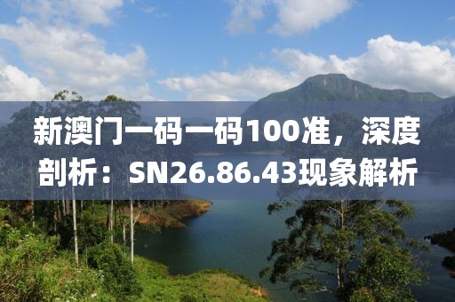 新澳门一码一码100准，深度剖析：SN26.86.43现象解析