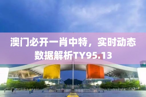 澳门必开一肖中特，实时动态数据解析TY95.13
