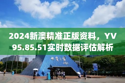 2024新澳精准正版资料，YV95.85.51实时数据评估解析