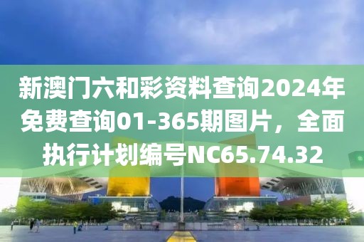 新澳门六和彩资料查询2024年免费查询01-365期图片，全面执行计划编号NC65.74.32