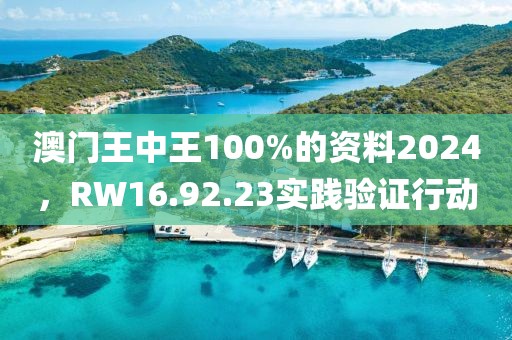 澳门王中王100%的资料2024，RW16.92.23实践验证行动