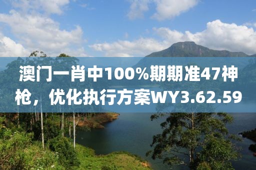 澳门一肖中100%期期准47神枪，优化执行方案WY3.62.59