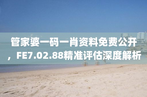 管家婆一码一肖资料免费公开，FE7.02.88精准评估深度解析