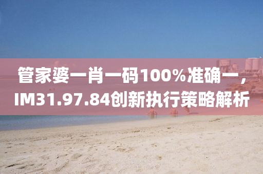 管家婆一肖一码100%准确一，IM31.97.84创新执行策略解析