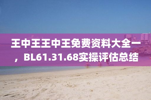 王中王王中王免费资料大全一，BL61.31.68实操评估总结
