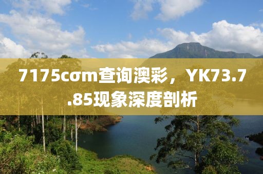 7175cσm查询澳彩，YK73.7.85现象深度剖析
