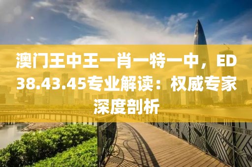 澳门王中王一肖一特一中，ED38.43.45专业解读：权威专家深度剖析