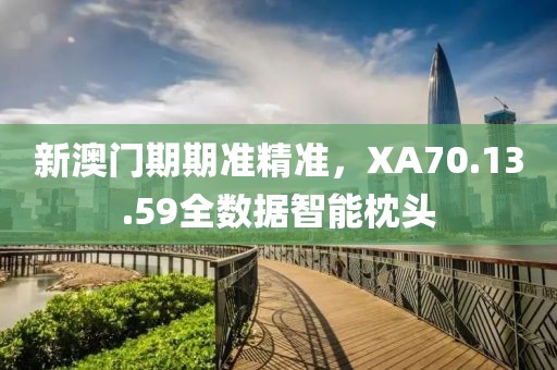 新澳门期期准精准，XA70.13.59全数据智能枕头
