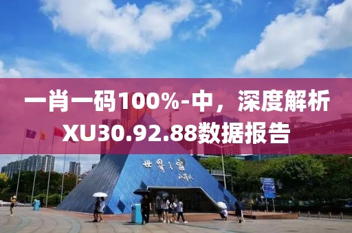 一肖一码100%-中，深度解析XU30.92.88数据报告