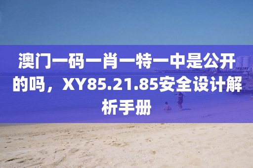 澳门一码一肖一特一中是公开的吗，XY85.21.85安全设计解析手册