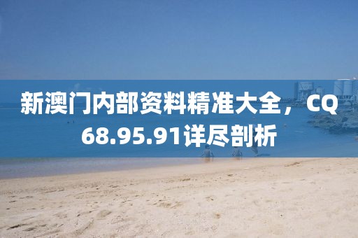 新澳门内部资料精准大全，CQ68.95.91详尽剖析