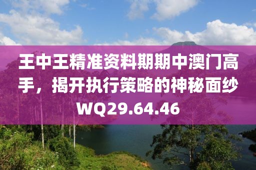 王中王精准资料期期中澳门高手，揭开执行策略的神秘面纱WQ29.64.46
