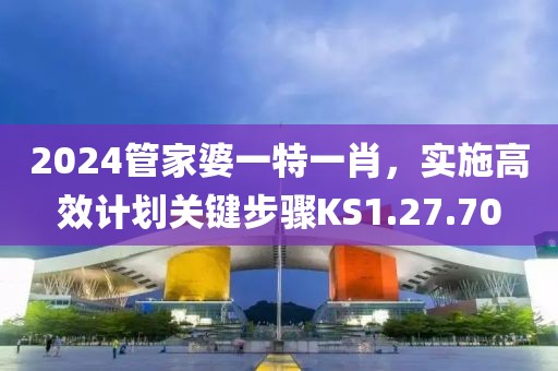 2024管家婆一特一肖，实施高效计划关键步骤KS1.27.70