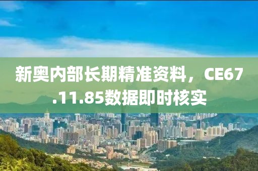 新奥内部长期精准资料，CE67.11.85数据即时核实