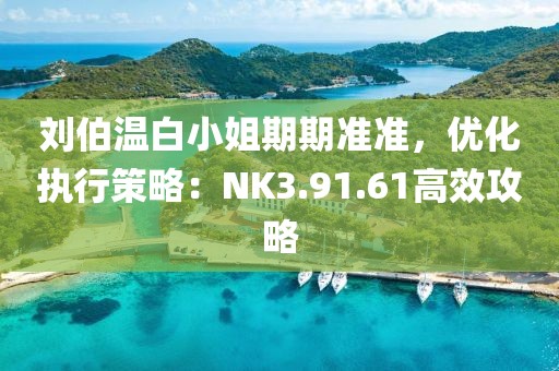 刘伯温白小姐期期准准，优化执行策略：NK3.91.61高效攻略
