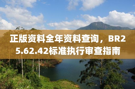 正版资料全年资料查询，BR25.62.42标准执行审查指南