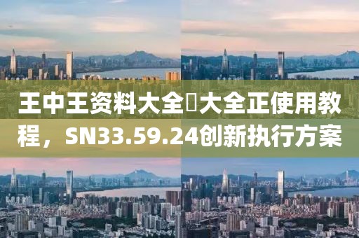 王中王资料大全枓大全正使用教程，SN33.59.24创新执行方案