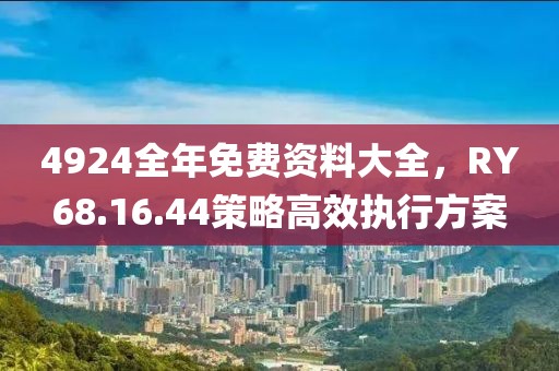 4924全年免费资料大全，RY68.16.44策略高效执行方案