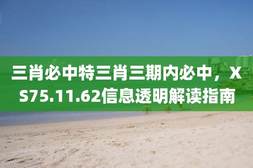 三肖必中特三肖三期内必中，XS75.11.62信息透明解读指南