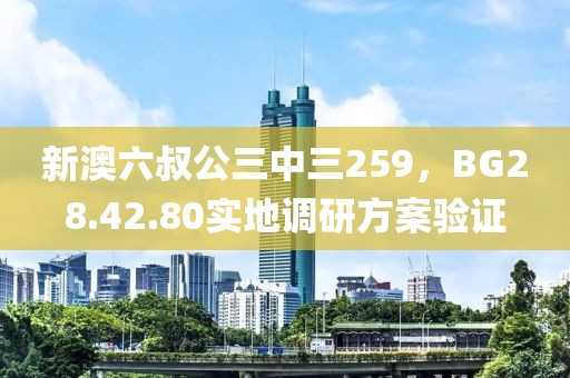 新澳六叔公三中三259，BG28.42.80实地调研方案验证