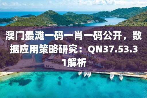 澳门最滩一码一肖一码公开，数据应用策略研究：QN37.53.31解析