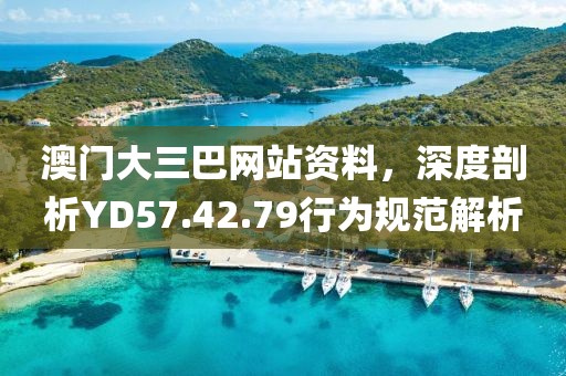 澳门大三巴网站资料，深度剖析YD57.42.79行为规范解析