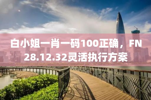 白小姐一肖一码100正确，FN28.12.32灵活执行方案