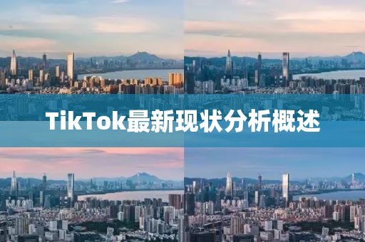 TikTok最新现状分析概述