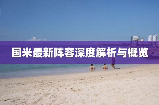 国米最新阵容深度解析与概览