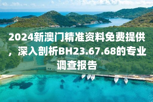 2024新澳门精准资料免费提供，深入剖析BH23.67.68的专业调查报告