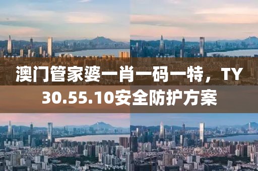 澳门管家婆一肖一码一特，TY30.55.10安全防护方案