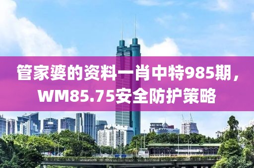 管家婆的资料一肖中特985期，WM85.75安全防护策略