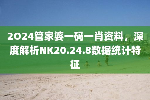 2O24管家婆一码一肖资料，深度解析NK20.24.8数据统计特征