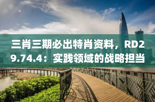 三肖三期必出特肖资料，RD29.74.4：实践领域的战略担当