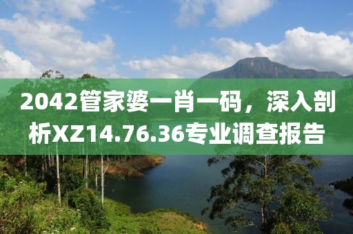2042管家婆一肖一码，深入剖析XZ14.76.36专业调查报告