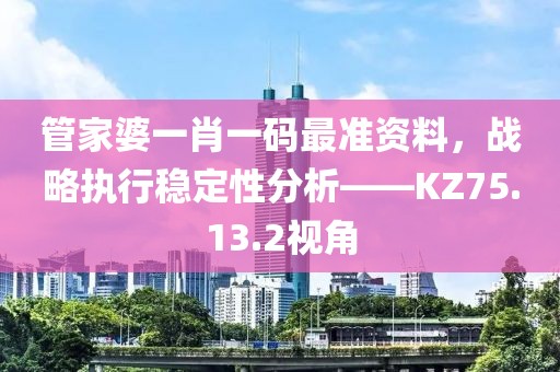 管家婆一肖一码最准资料，战略执行稳定性分析——KZ75.13.2视角