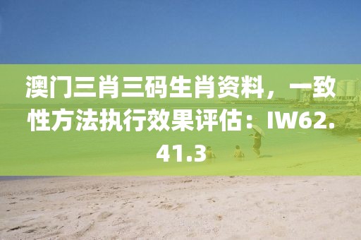 澳门三肖三码生肖资料，一致性方法执行效果评估：IW62.41.3
