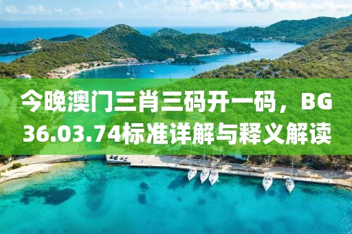 今晚澳门三肖三码开一码，BG36.03.74标准详解与释义解读