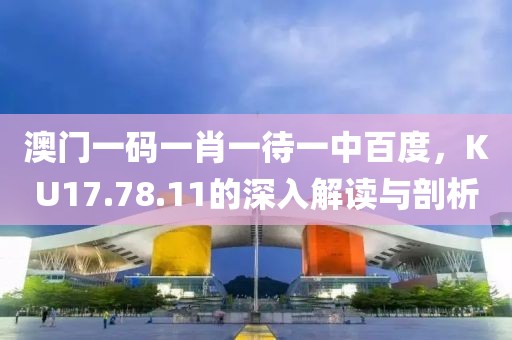 澳门一码一肖一待一中百度，KU17.78.11的深入解读与剖析