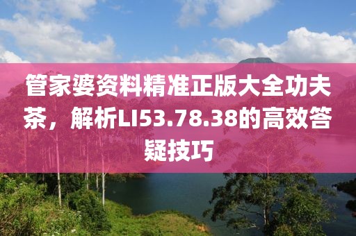 管家婆资料精准正版大全功夫茶，解析LI53.78.38的高效答疑技巧