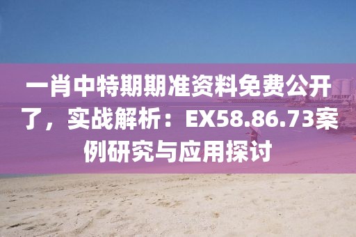一肖中特期期准资料免费公开了，实战解析：EX58.86.73案例研究与应用探讨
