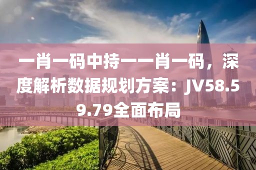 一肖一码中持一一肖一码，深度解析数据规划方案：JV58.59.79全面布局