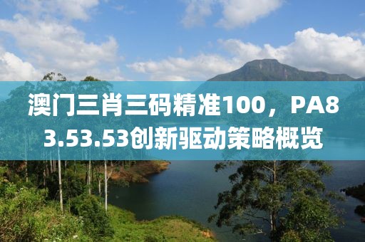 澳门三肖三码精准100，PA83.53.53创新驱动策略概览