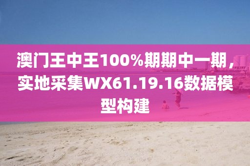 澳门王中王100%期期中一期，实地采集WX61.19.16数据模型构建