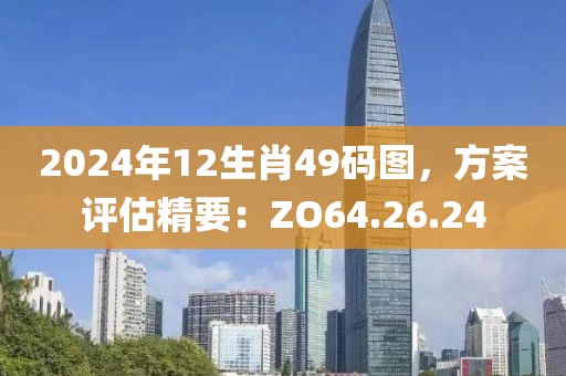 2024年12生肖49码图，方案评估精要：ZO64.26.24
