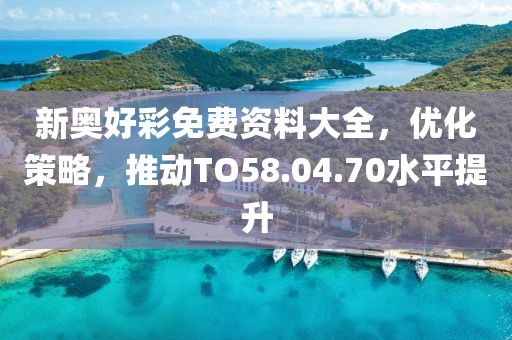 新奥好彩免费资料大全，优化策略，推动TO58.04.70水平提升