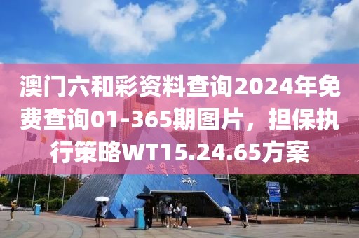 澳门六和彩资料查询2024年免费查询01-365期图片，担保执行策略WT15.24.65方案