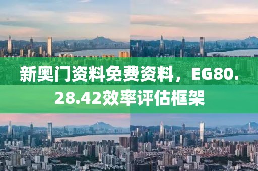 新奥门资料免费资料，EG80.28.42效率评估框架