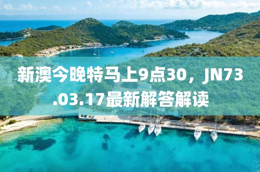 新澳今晚特马上9点30，JN73.03.17最新解答解读